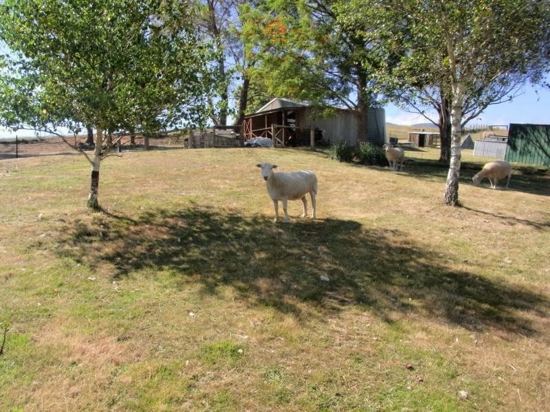 2474 Towamba Road, Towamba NSW 2550