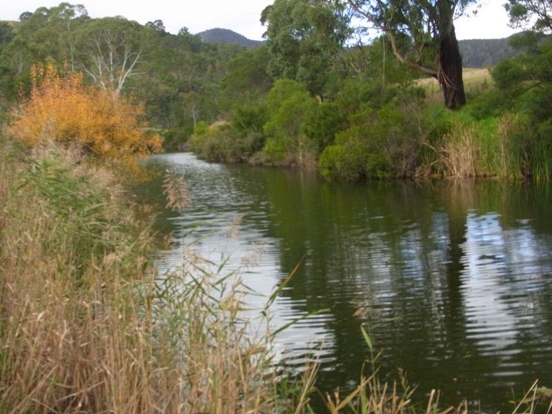 “Wattle Hill”616 New Building Road, Wyndham NSW 2550