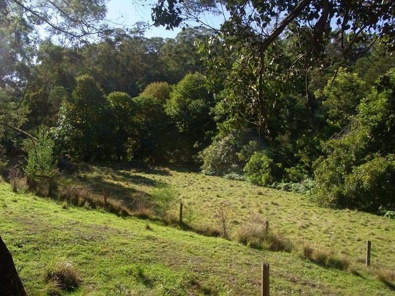 1891 Towamba Road, Towamba NSW 2550