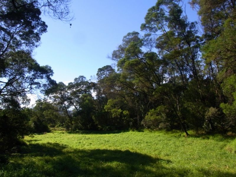 L4 / 93 Boggy Creek Road, Millingandi NSW 2549