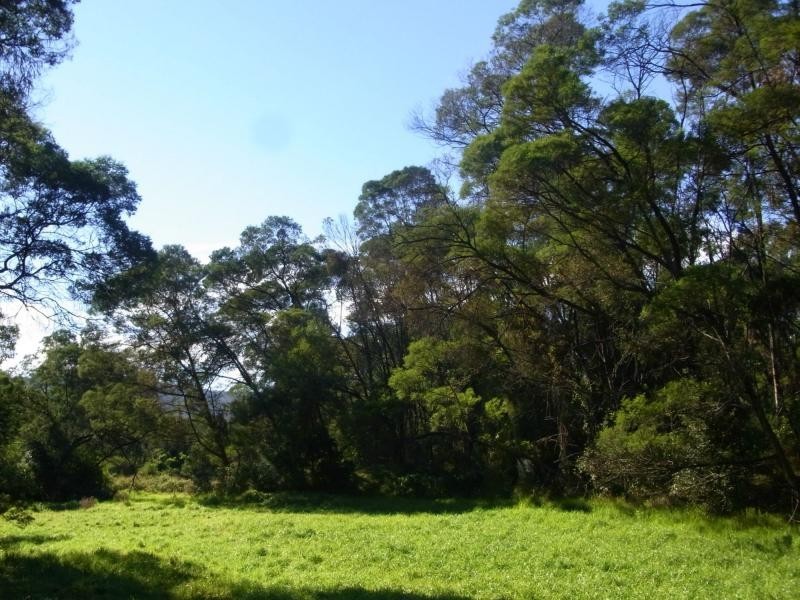 L5 / 93 Boggy Creek Road, Millingandi NSW 2549