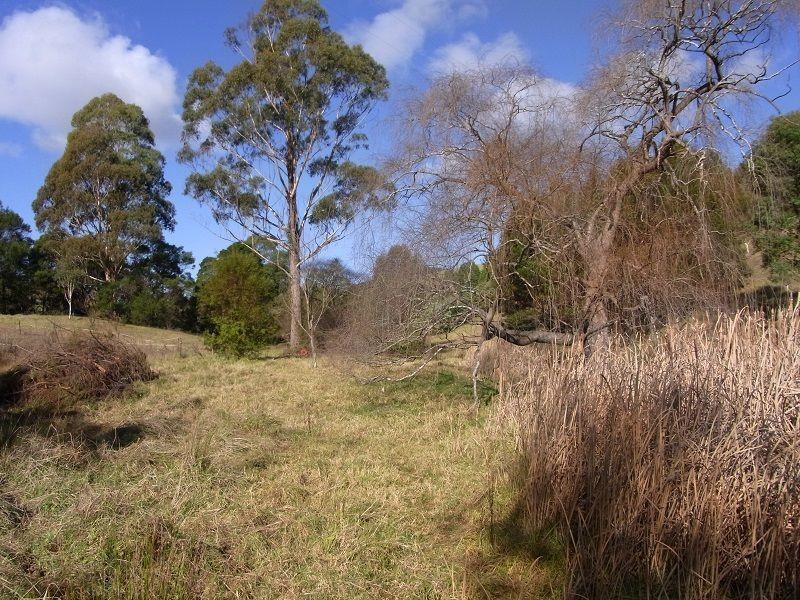 20 Fourters Road, Nethercote NSW 2549