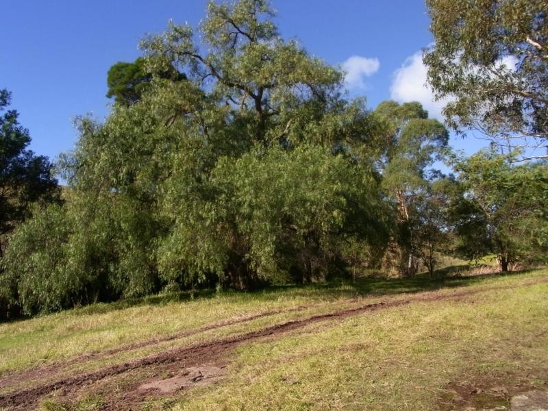 20 Fourters Road, Nethercote NSW 2549