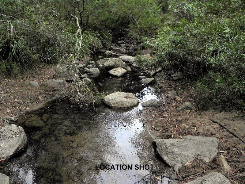 591 Devils Hole Road, Devils Hole NSW 2550