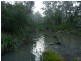 591 Devils Hole Road, Devils Hole NSW 2550