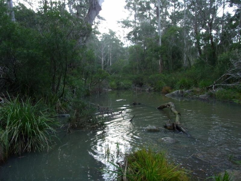 591 Devils Hole Road, Devils Hole NSW 2550