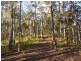 591 Devils Hole Road, Devils Hole NSW 2550