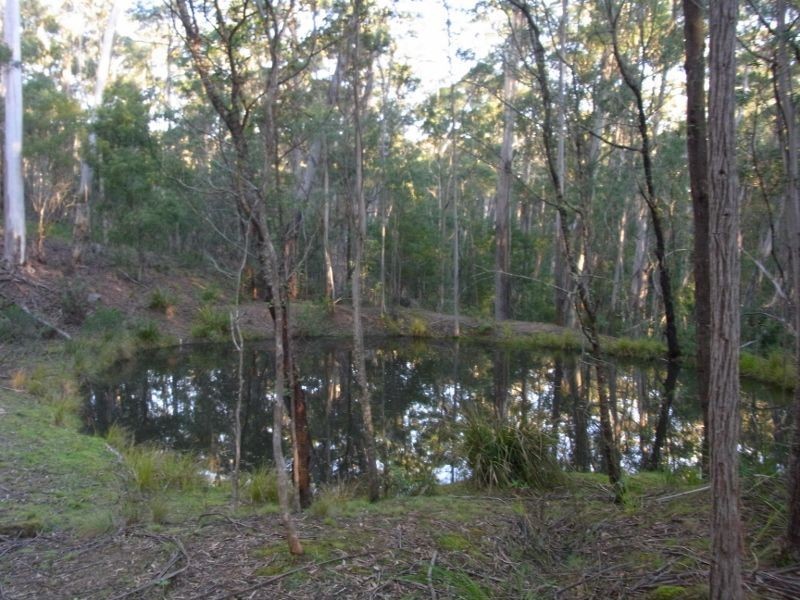 591 Devils Hole Road, Devils Hole NSW 2550
