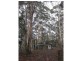 591 Devils Hole Road, Devils Hole NSW 2550