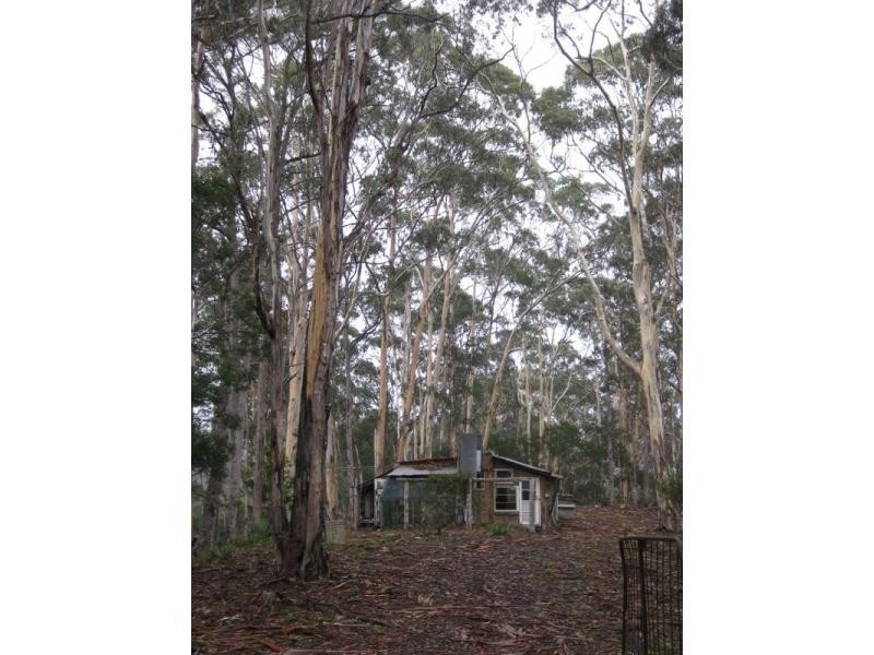 591 Devils Hole Road, Devils Hole NSW 2550
