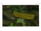 591 Devils Hole Road, Devils Hole NSW 2550