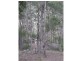 591 Devils Hole Road, Devils Hole NSW 2550