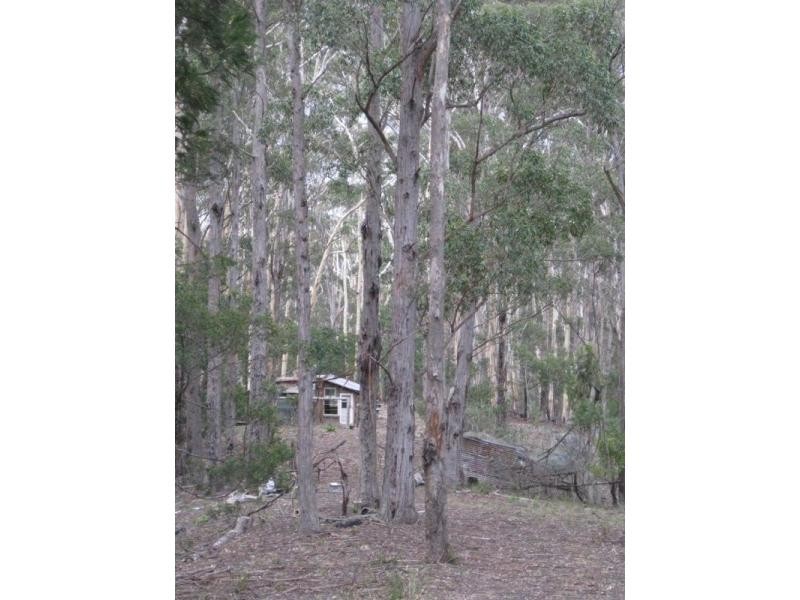 591 Devils Hole Road, Devils Hole NSW 2550