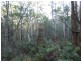 591 Devils Hole Road, Devils Hole NSW 2550