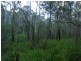 591 Devils Hole Road, Devils Hole NSW 2550