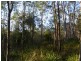 591 Devils Hole Road, Devils Hole NSW 2550