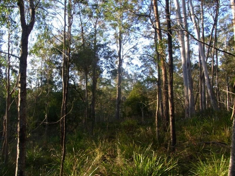 591 Devils Hole Road, Devils Hole NSW 2550