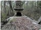 591 Devils Hole Road, Devils Hole NSW 2550