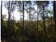 591 Devils Hole Road, Devils Hole NSW 2550