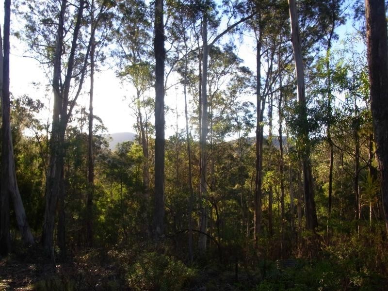 591 Devils Hole Road, Devils Hole NSW 2550