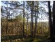 591 Devils Hole Road, Devils Hole NSW 2550
