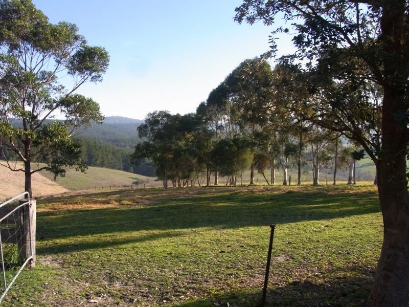 2985 Burragate Road, Towamba NSW 2550
