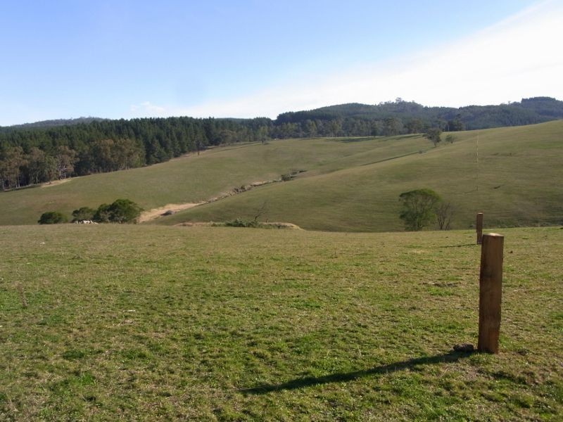 2985 Burragate Road, Towamba NSW 2550
