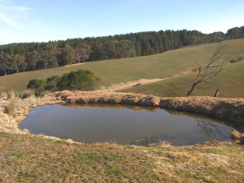 2985 Burragate Road, Towamba NSW 2550