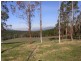 2985 Burragate Road, Towamba NSW 2550