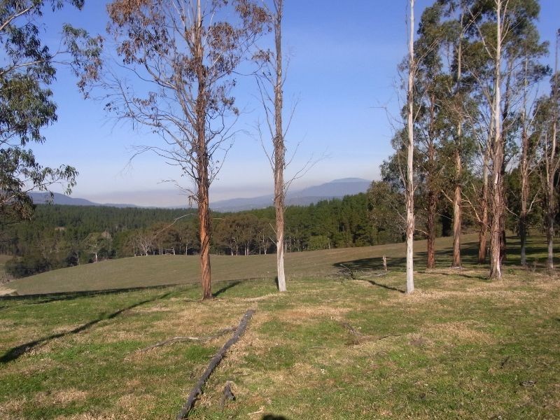 2985 Burragate Road, Towamba NSW 2550