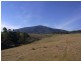 2985 Burragate Road, Towamba NSW 2550