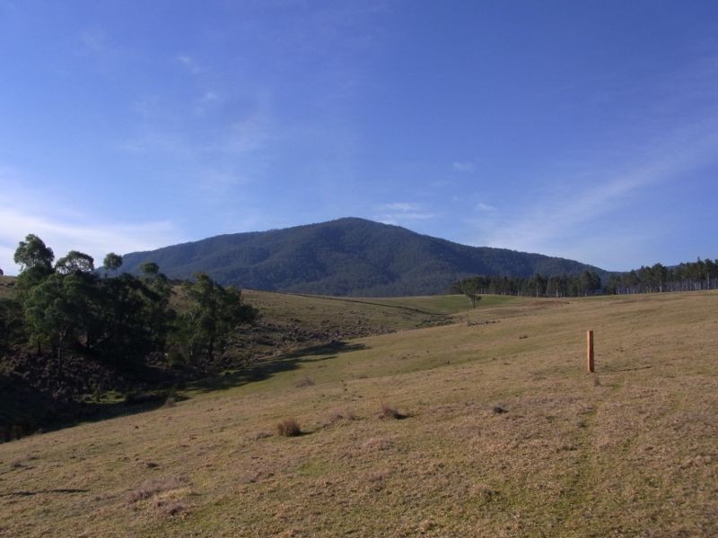 2985 Burragate Road, Towamba NSW 2550