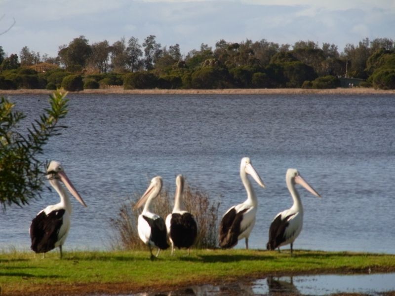 33 Lakeside Drive, Eden NSW 2551