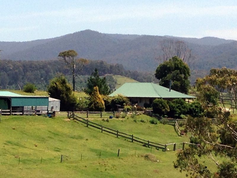 610 Nethercote Road, Nethercote NSW 2549