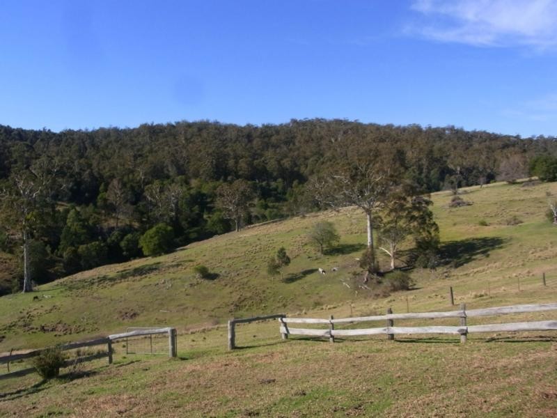 610 Nethercote Road, Nethercote NSW 2549