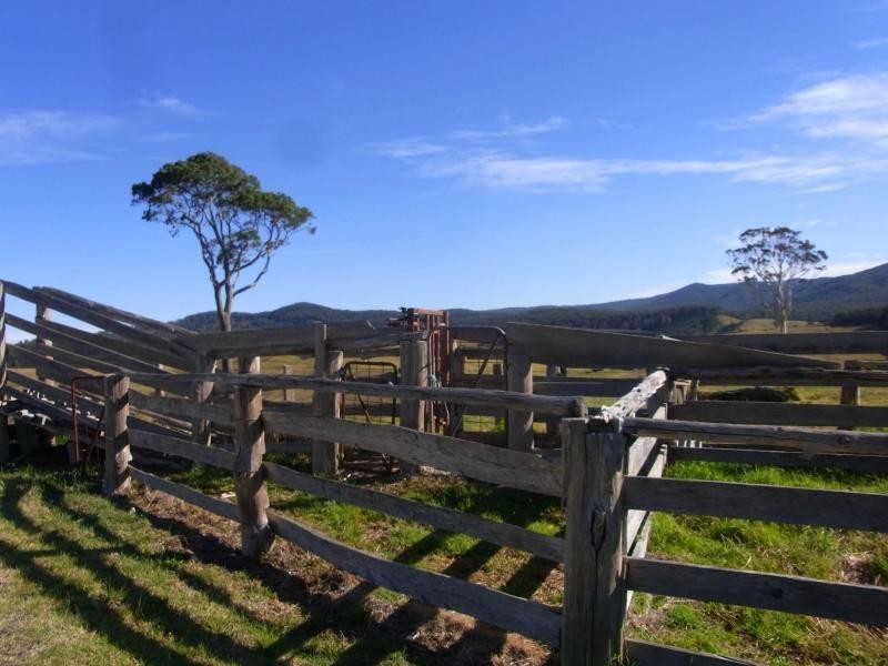 610 Nethercote Road, Nethercote NSW 2549