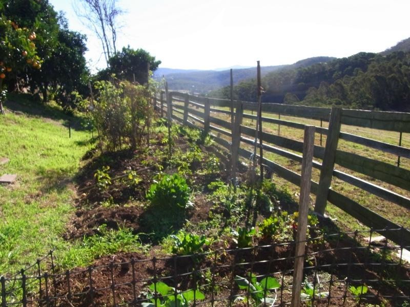 610 Nethercote Road, Nethercote NSW 2549