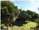 610 Nethercote Road, Nethercote NSW 2549