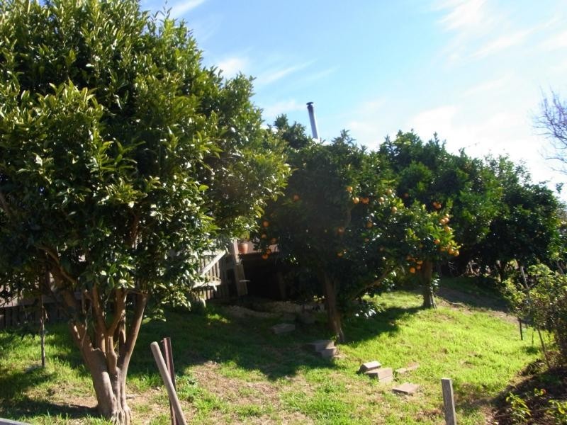 610 Nethercote Road, Nethercote NSW 2549