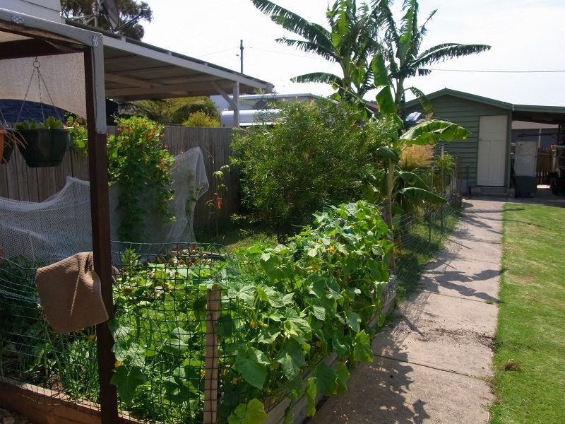 49 Bungo Street, Eden NSW 2551