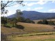 176 Pericoe Road, Towamba NSW 2550