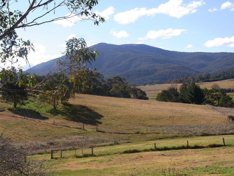 176 Pericoe Road, Towamba NSW 2550