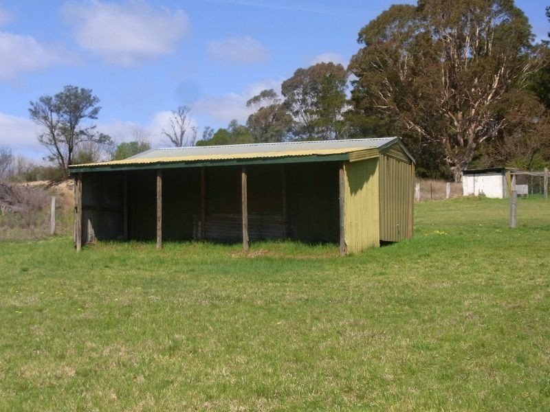 176 Pericoe Road, Towamba NSW 2550