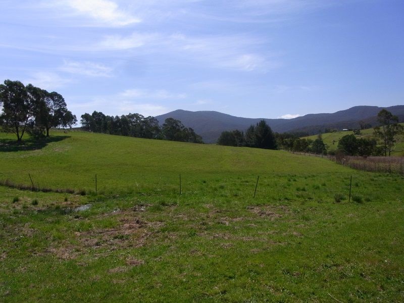 176 Pericoe Road, Towamba NSW 2550