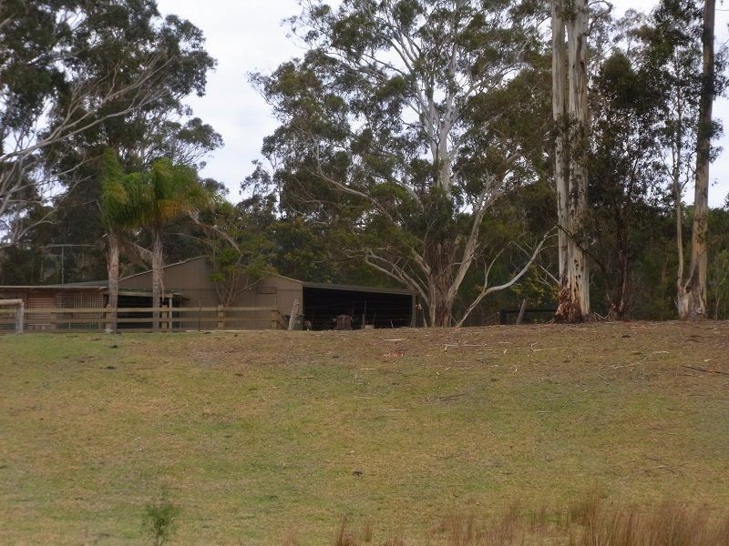 180 Nullica Short Cut Road, Boydtown NSW 2551