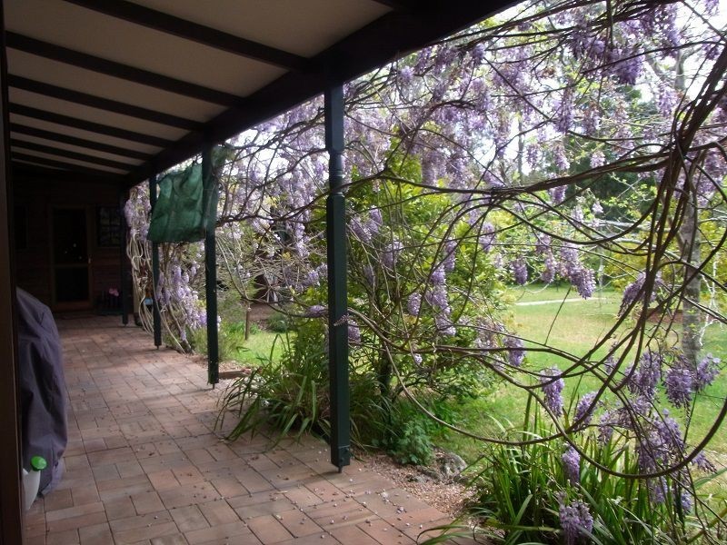 360 Myrtle Mountain Road, Wyndham NSW 2550