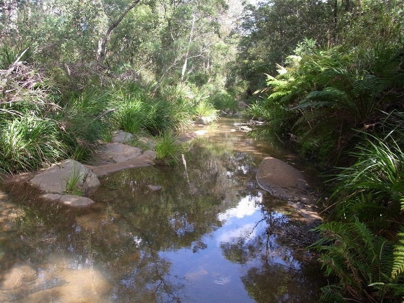 360 Myrtle Mountain Road, Wyndham NSW 2550