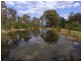 360 Myrtle Mountain Road, Wyndham NSW 2550
