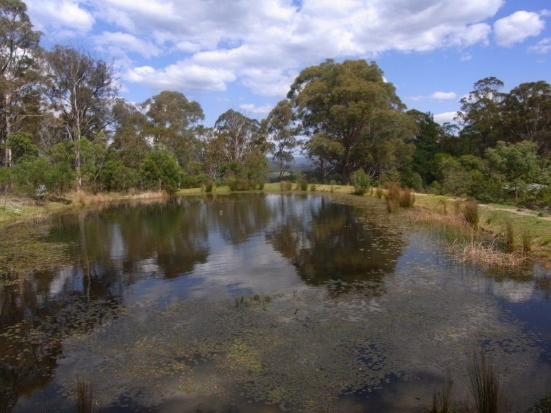 360 Myrtle Mountain Road, Wyndham NSW 2550