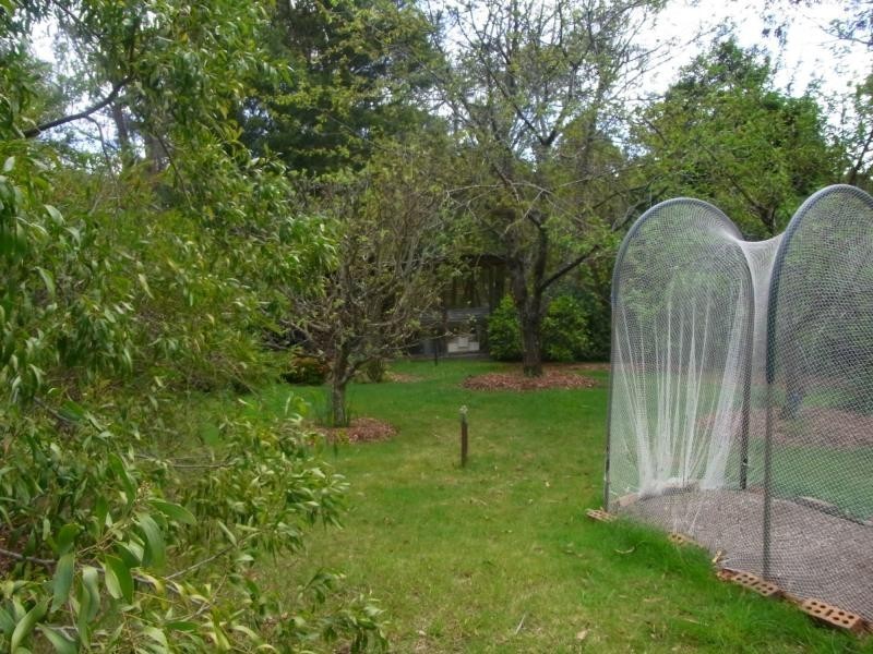 360 Myrtle Mountain Road, Wyndham NSW 2550